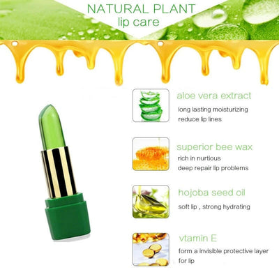 Aloe Vera Moisturizing Lip Balm.